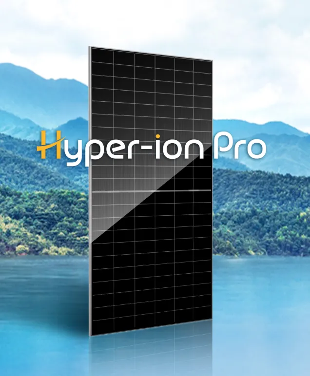 RISEN HJT 695 WP BIFACIAL